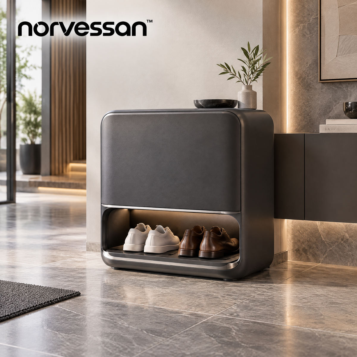 Norvessan™ Modern Shoe Storage Cabinet